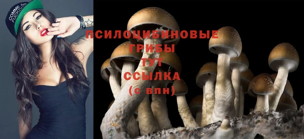 прущая мука Красноперекопск
