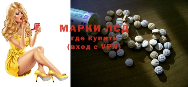 соль ск Краснослободск