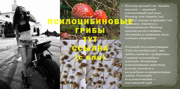 PSILOCYBIN Краснотурьинск