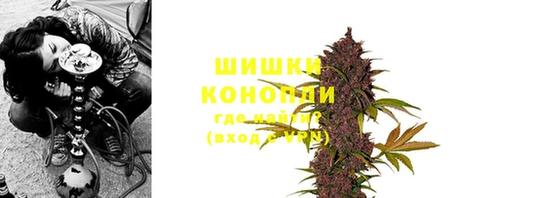 соль ск Краснослободск
