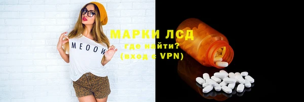 соль ск Краснослободск