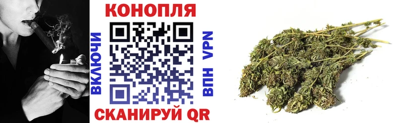 Конопля планчик  Купить  Светлоград 